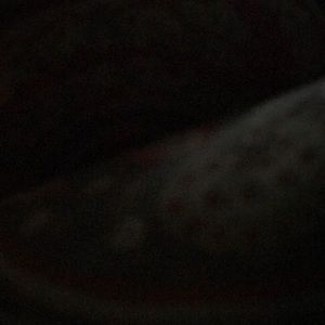 Meet your Posher, Savannah